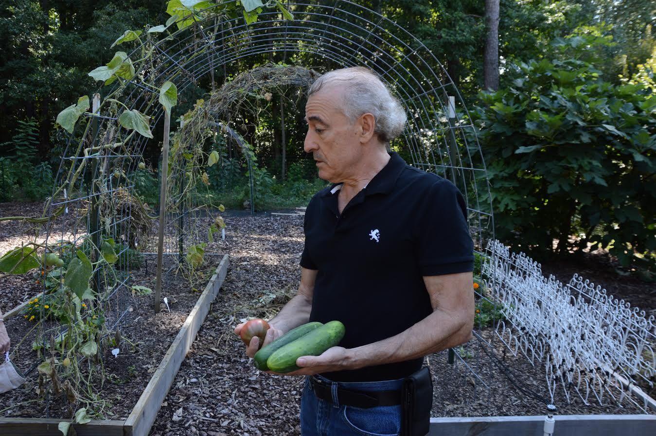Vito Gironda in his garden